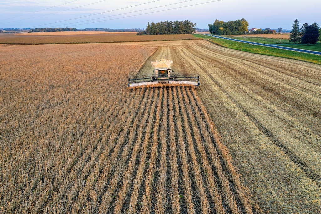 Harvest Now 85% Done in Manitoba:  Crop Report