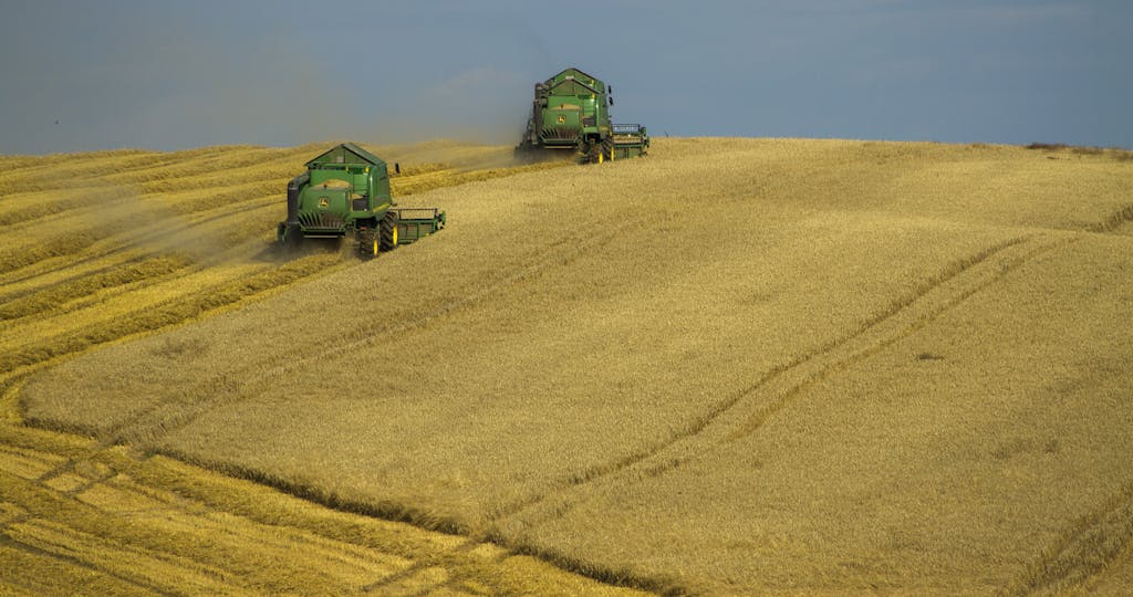 Lots to consider heading into 2025 growing season, says a market analyst