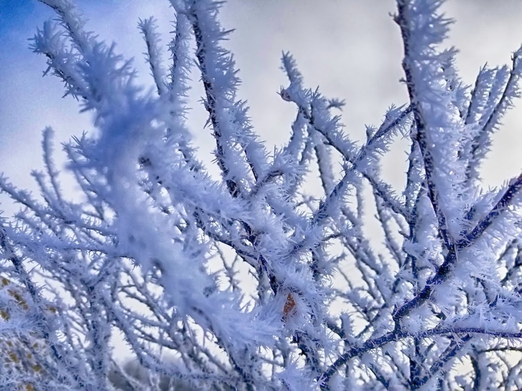 December was a “roller-coaster” month for weather